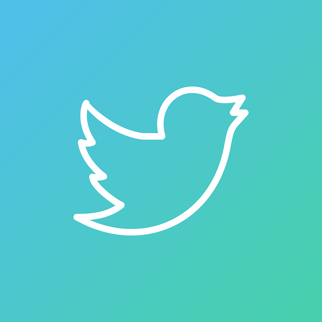 twitter1